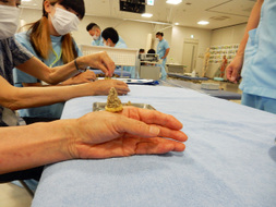 鍼灸マッサージ師　東洋医学一般公開講座